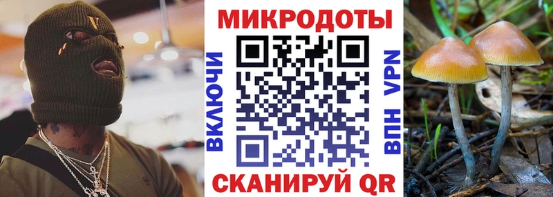 Псилоцибиновые грибы мухоморы  Кудрово 